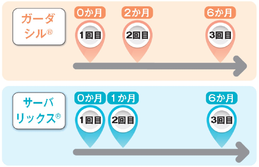 hpv接種間隔