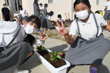 苗植えの様子5